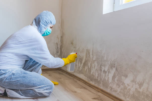 Hvac And Air Duct Mold Remediation inspection of HVAC system in Glenview